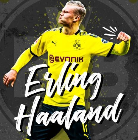 综合体育国际交流赛事 动态持续更新